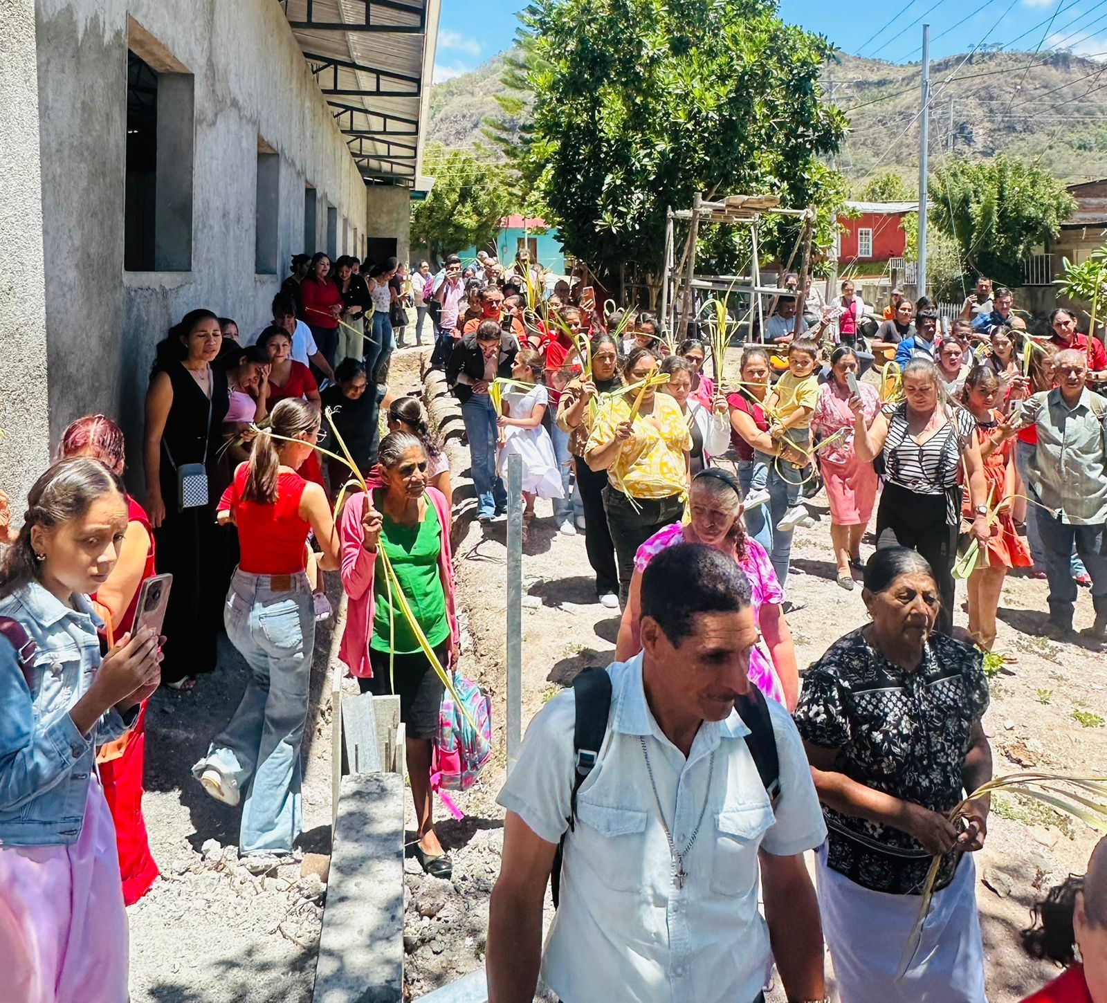 ESTELI-(29)