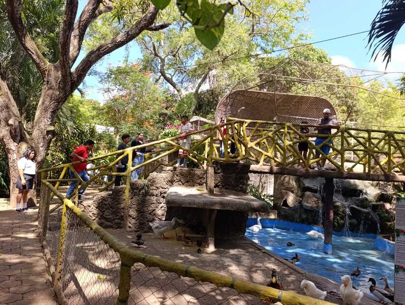 Zoologico--(7)