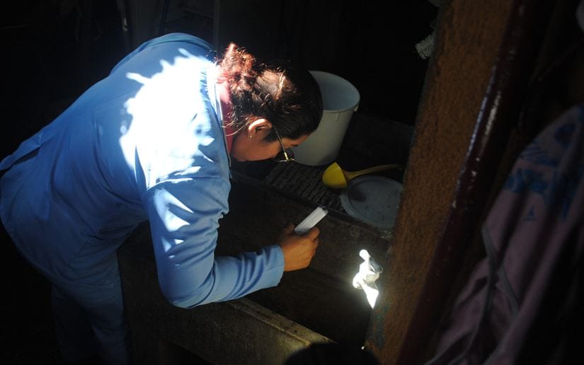 Fumigacion-3