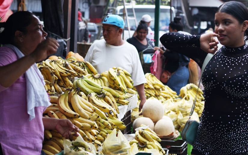 Frutas-1