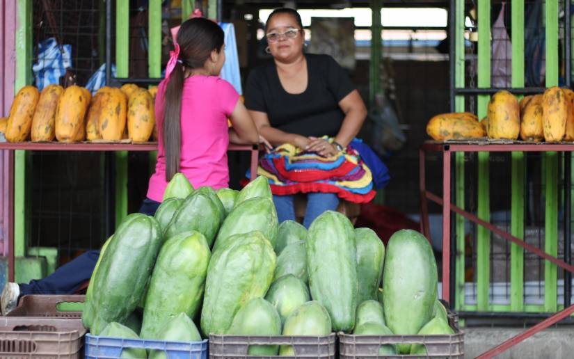 Frutas-5