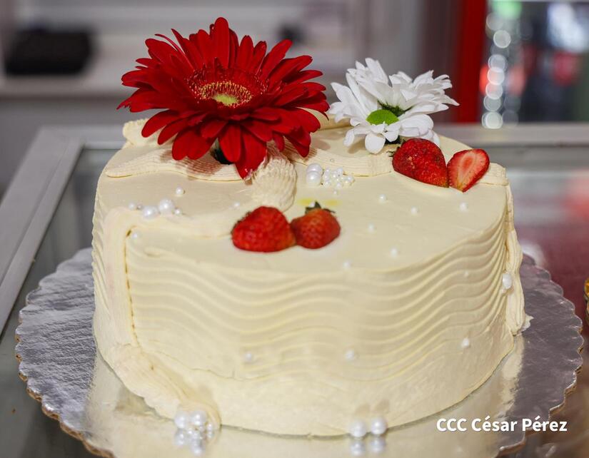Pasteles-18