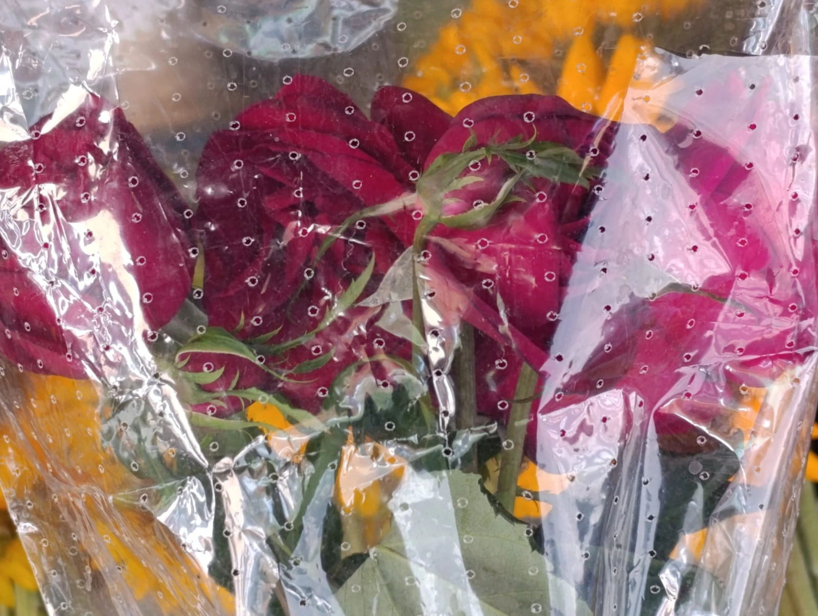 FLORES4