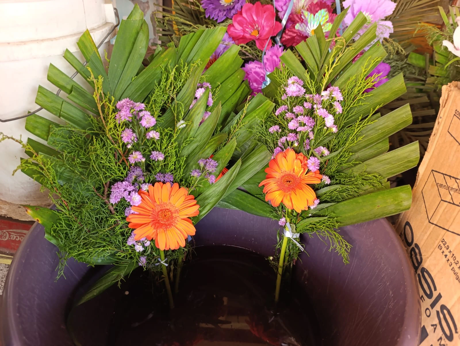 FLORES6