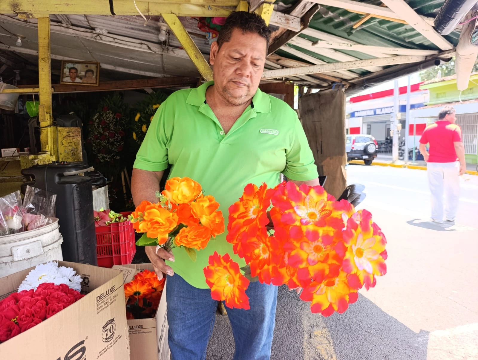 FLORES7